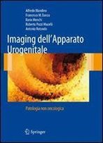 Imaging Dell'apparato Urogenitale: Patologia Non Oncologica