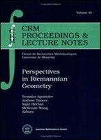 Perspectives In Riemannian Geometry