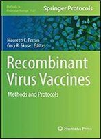 Recombinant Virus Vaccines: Methods And Protocols (Methods In Molecular Biology)