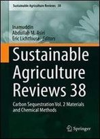 Sustainable Agriculture Reviews 38: Carbon Sequestration Vol. 2 Materials And Chemical Methods