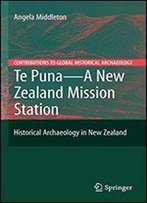 Te Puna - A New Zealand Mission Station: Historical Archaeology In New Zealand (Contributions To Global Historical Archaeology)
