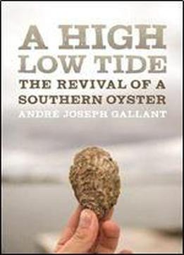 A High Low Tide: The Revival Of A Southern Oyster