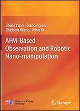 Afm-based Observation And Robotic Nano-manipulation
