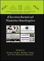 Electrochemical Nanotechnologies (Nanostructure Science And Technology)