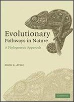 Evolutionary Pathways In Nature: A Phylogenetic Approach