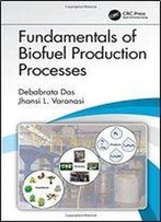 Fundamentals Of Biofuel Production Processes