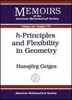 H-Principles And Flexibility In Geometry