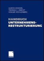 Handbuch Unternehmensrestrukturierung: Grundlagen - Konzepte - Manahmen
