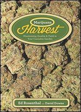 Marijuana Harvest: How To Maximize Quality And Yield In Your Cannabis Garden