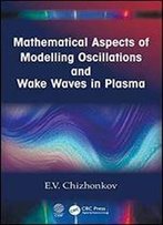 Mathematical Aspects Of Modelling Oscillations And Wake Waves In Plasma
