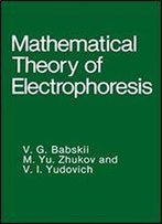 Mathematical Theory Of Electrophoresis (Service Professions)