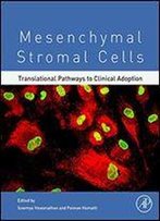 Mesenchymal Stromal Cells: Translational Pathways To Clinical Adoption