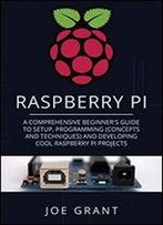 Raspberry Pi: A Comprehensive Beginner's Guide To Setup, Programming(Concepts And Techniques) And Developing Cool Raspberry Pi Projects