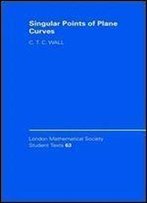 Singular Points Of Plane Curves (London Mathematical Society Student Texts)
