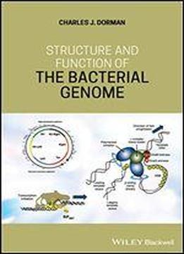 Structure And Function Of The Bacterial Genome