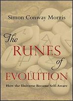 The Runes Of Evolution: How The Universe Became Self-Aware