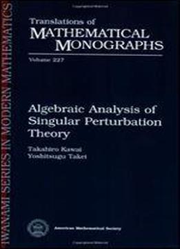 Algebraic Analysis Of Singular Perturbation Theory