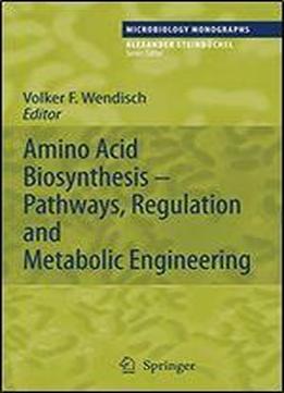 Amino Acid Biosynthesis Pathways, Regulation And Metabolic Engineering (microbiology Monographs)