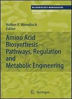 Amino Acid Biosynthesis Pathways, Regulation And Metabolic Engineering (Microbiology Monographs)