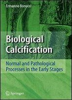 Biological Calcification: Normal And Pathological Processes In The Early Stages