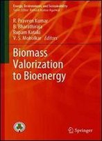 Biomass Valorization To Bioenergy