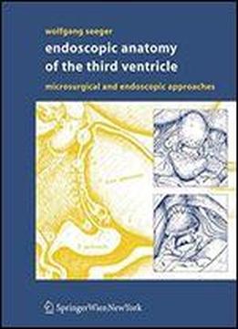 Endoscopic Anatomy Of The Third Ventricle: Microsurgical And Endoscopic Approaches
