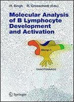Molecular Analysis Of B Lymphocyte Development And Activation (Current Topics In Microbiology And Immunology)