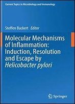 Molecular Mechanisms Of Inflammation: Induction, Resolution And Escape By Helicobacter Pylori