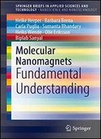 Molecular Nanomagnets: Fundamental Understanding