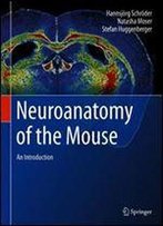 Neuroanatomy Of The Mouse: An Introduction