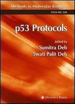 P53 Protocols (Methods In Molecular Biology) 1st Edition