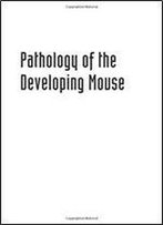 Pathology Of The Developing Mouse: A Systematic Approach