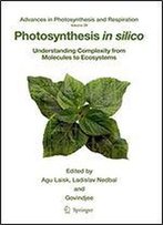 Photosynthesis In Silico: Understanding Complexity From Molecules To Ecosystems (Advances In Photosynthesis And Respiration)