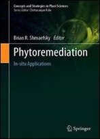 Phytoremediation: In-Situ Applications