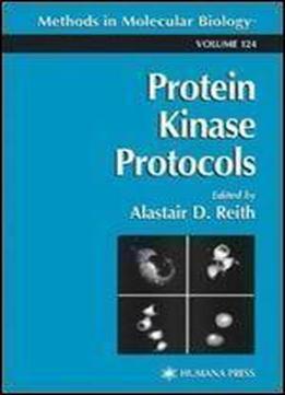 Protein Kinase Protocols (methods In Molecular Biology)