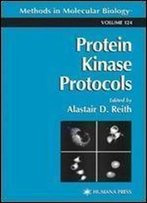 Protein Kinase Protocols (Methods In Molecular Biology)