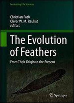 The Evolution Of Feathers: From Their Origin To The Present