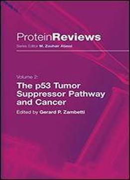 The P53 Tumor Suppressor Pathway And Cancer (protein Reviews, Vol. 2)