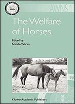 The Welfare Of Horses
