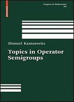 Topics In Operator Semigroups (Progress In Mathematics)