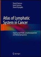 Atlas Of Lymphatic System In Cancer: Signal Lymph Node, Lymphangiogenesis And Neolymphogenesis
