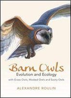 Barn Owls: Evolution And Ecology
