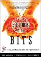 Blown To Bits: Your Life, Liberty, And Happiness After The Digital Explosion