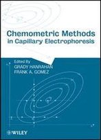Chemometric Methods In Capillary Electrophoresis