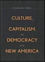 Culture,Capitalism,And Democracy In The New America