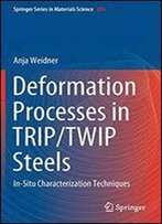 Deformation Processes In Trip/Twip Steels: In-Situ Characterization Techniques