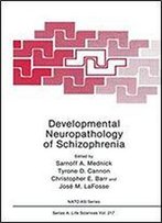 Developmental Neuropathology Of Schizophrenia (Nato Science Series A: (Closed))