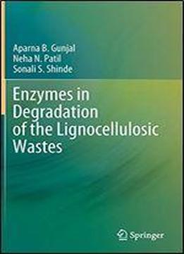 Enzymes In Degradation Of The Lignocellulosic Wastes