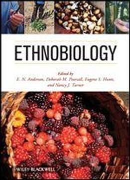 a human voyage exploring biological anthropology pdf book