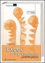 Excel Programmieren: Anwendungen Erstellen Mit Visual Basic Fr Applikationen [Jetzt Fr Excel 2000 Und 2002]